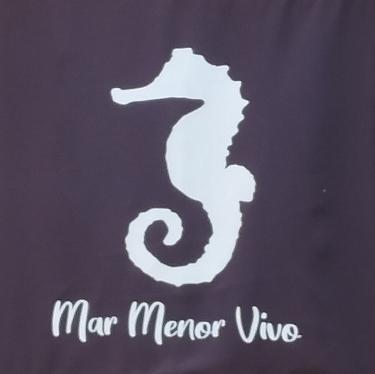 Las lluvias le han bajado la sal al Mar Menor: 43 gramos por litro cuando tocarían 44