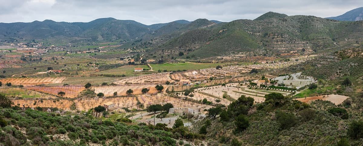 Ocho diques nuevos en la rambla de Cobatillas: 11,9 millones para que San Javier no se inunde y la laguna no se trague los arrastres