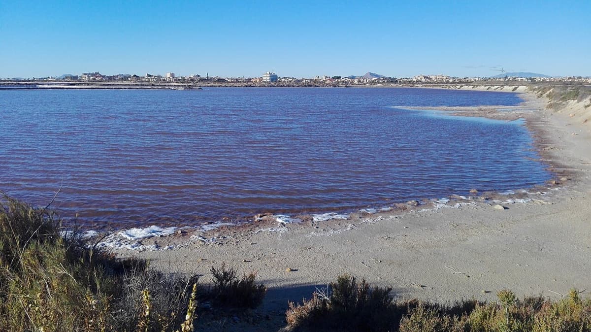 Salinas de San Pedro del Pinatar, con sus aguas rosadas