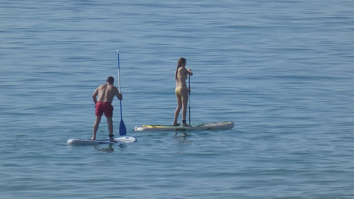 Dos personas remando de pie sobre tablas de paddle surf en el mar en calma