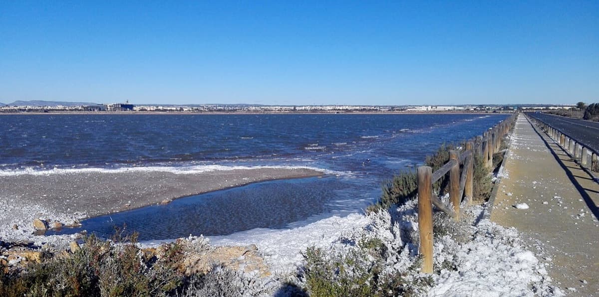 Charcas de las Salinas de San Pedro del Pinatar con sal en la orilla y una senda de madera junto al agua