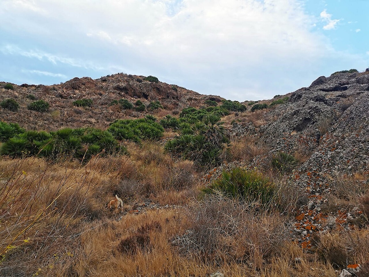 Los misterios de El Carmolí: las historias que cuenta el paisaje