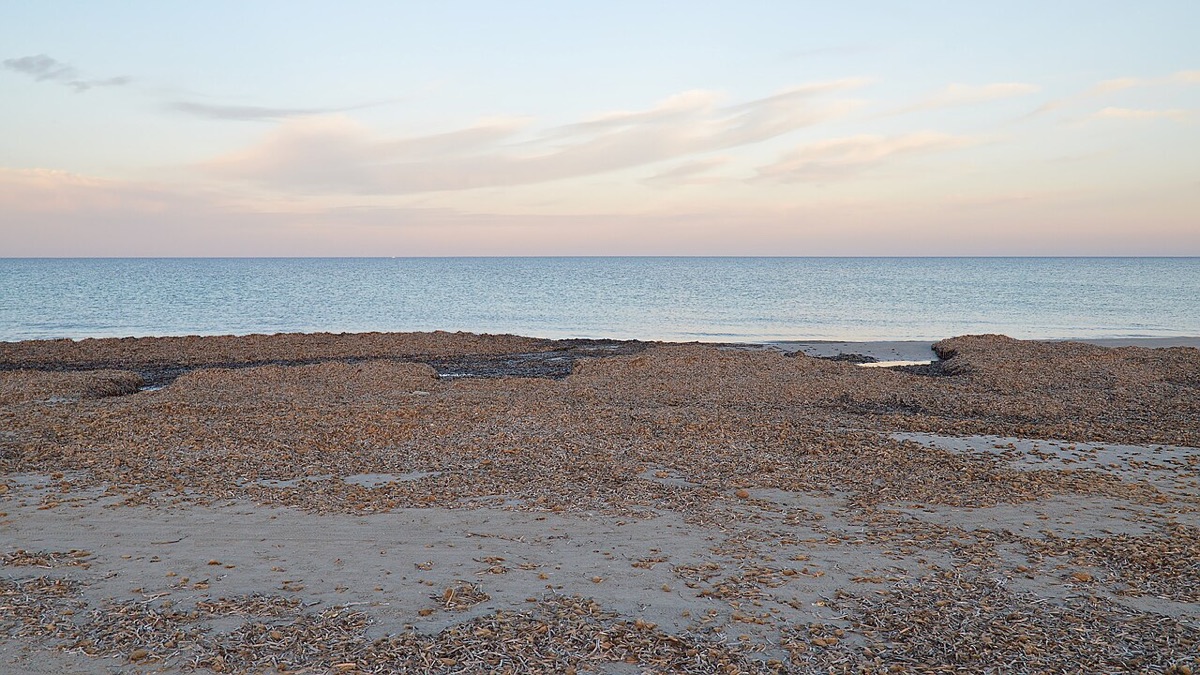 La playa salvaje del Mar Menor con arena virgen, flamencos y atardeceres