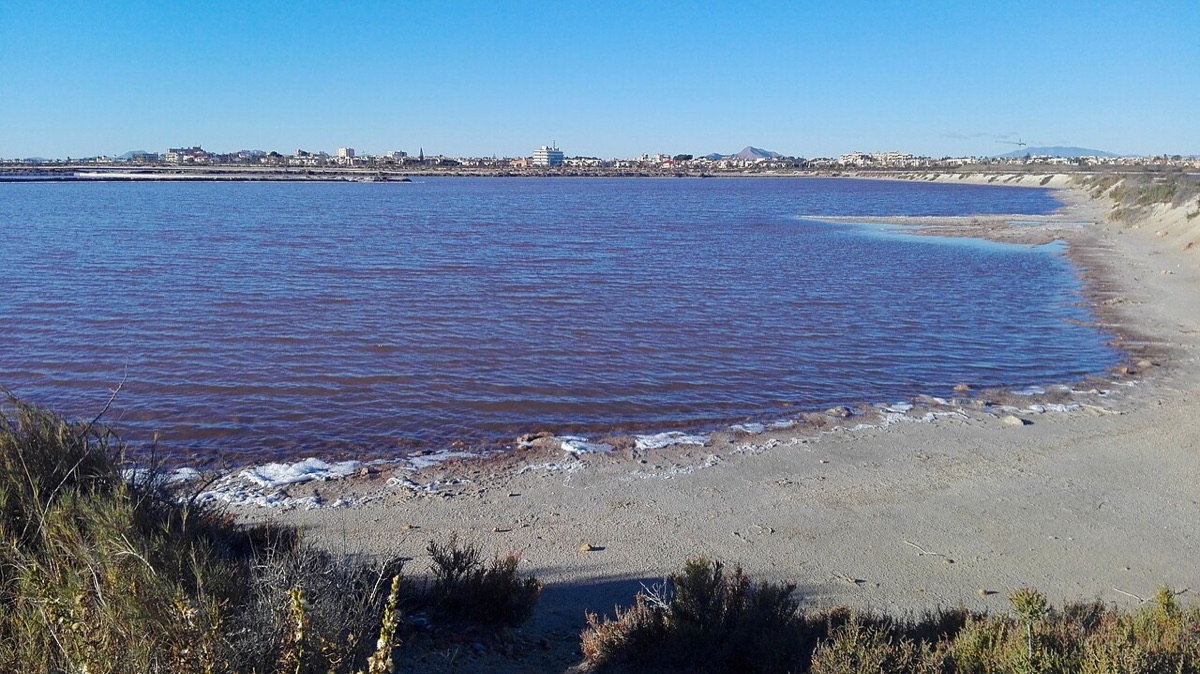 San Pedro del Pinatar quiere llenar también en invierno